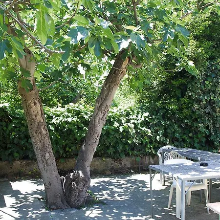 Διαμέρισμα Inge *